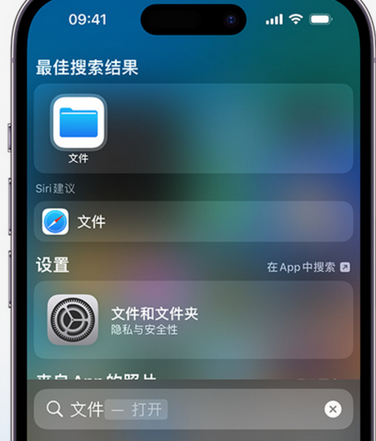 延平apple维修中心分享iPhone文件应用中存储和找到下载文件 