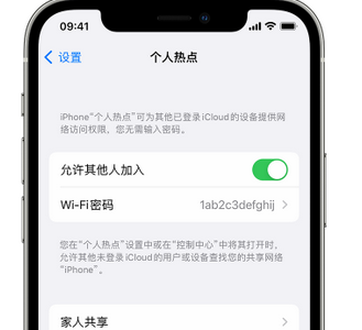 延平apple服务站点分享iPhone上个人热点丢失了怎么办 