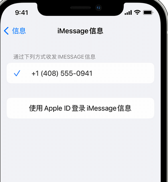 延平apple维修iPhone上无法正常发送iMessage信息 