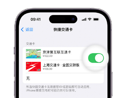 延平apple维修点分享iPhone上更换Apple Pay快捷交通卡手绘卡面 