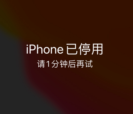 延平苹果手机维修分享:iPhone 显示“不可用”或“已停用”怎么办？还能保留数据吗？ 