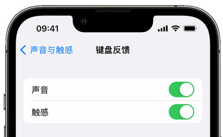 延平苹果手机维修分享iPhone 14触感键盘使用方法 