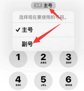 延平苹果14维修店分享iPhone 14 Pro Max使用副卡打电话的方法 