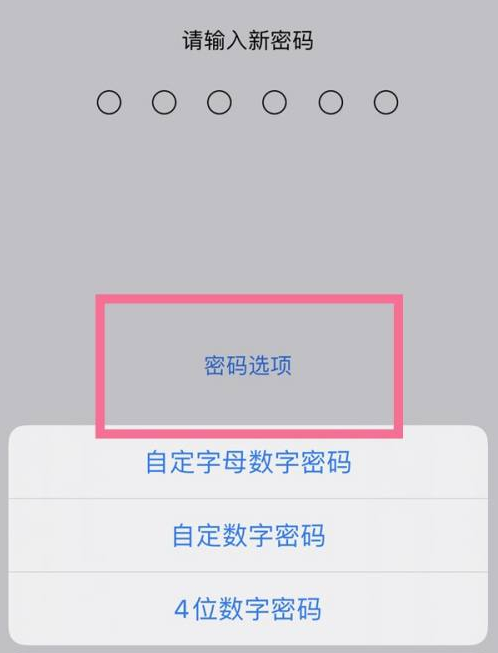 延平苹果14维修分享iPhone 14plus设置密码的方法 