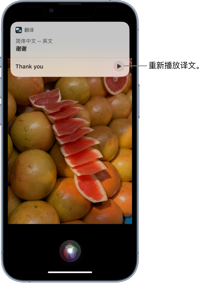 延平苹果14维修分享 iPhone 14 机型中使用 Siri：了解 Siri 能帮你做什么 