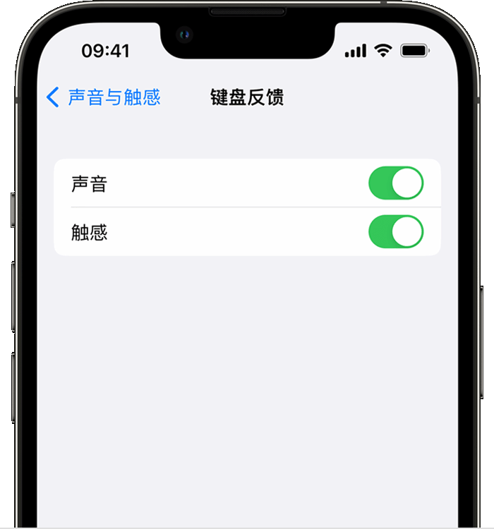 延平苹果14维修分享iPhone 14 系列机型如何开启键盘声音或触感反馈 