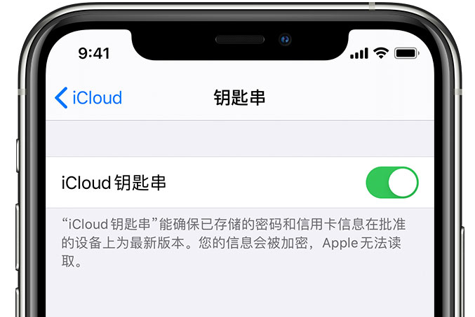 延平苹果手机维修分享在 iPhone 上开启 iCloud 钥匙串之后会储存哪些信息 