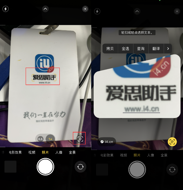 延平苹果手机维修分享升级iOS 16后如何通过相机翻译文本 