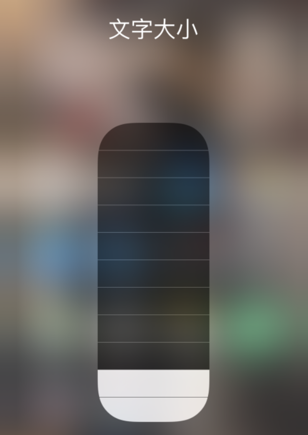 延平苹果手机维修分享小技巧：在 iPhone 控制中心快速调节字体大小 