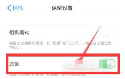 延平苹果13维修分享iPhone13拍照有绿点是怎么回事 