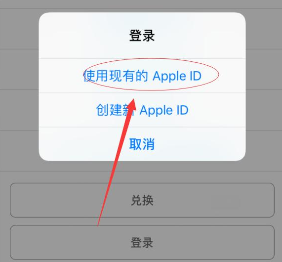 延平苹果手机维修分享两台iPhone设备可以同时登录一个Apple ID吗 
