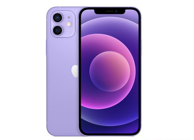 延平苹果手机维修分享现阶段要不要入手紫色版iPhone12 