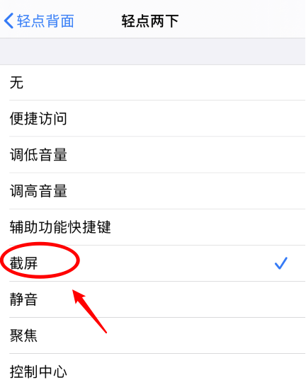 延平苹果手机维修分享iPhone12如何启用双击截屏 