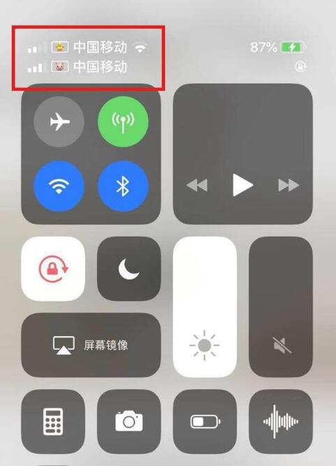 延平苹果手机维修分享为 iPhone 12 双卡设置标签 