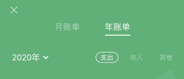 延平苹果手机维修分享如何在 iPhone 上查看支付宝和微信年支出账单 