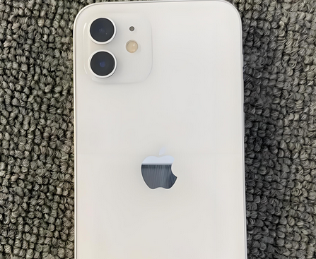 延平苹果12摄像头维修分享如何处理苹果12拍照模糊的问题