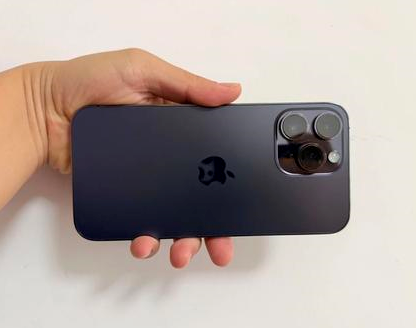 延平苹果维修点分享iPhone 14 Pro Max发烫多重诱因剖析 